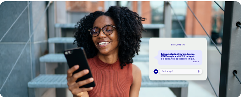 ACF_Images UI_Chatbot