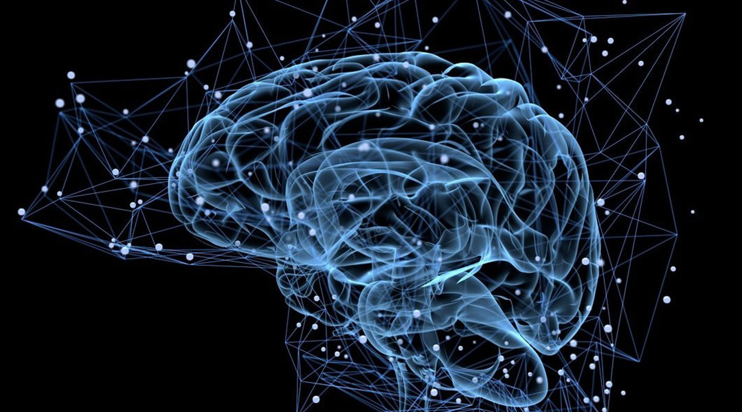 Digital brain with neurons firing