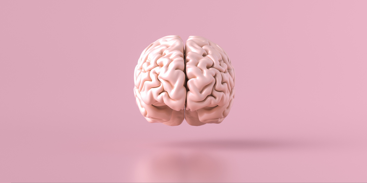 Human brain with pink background