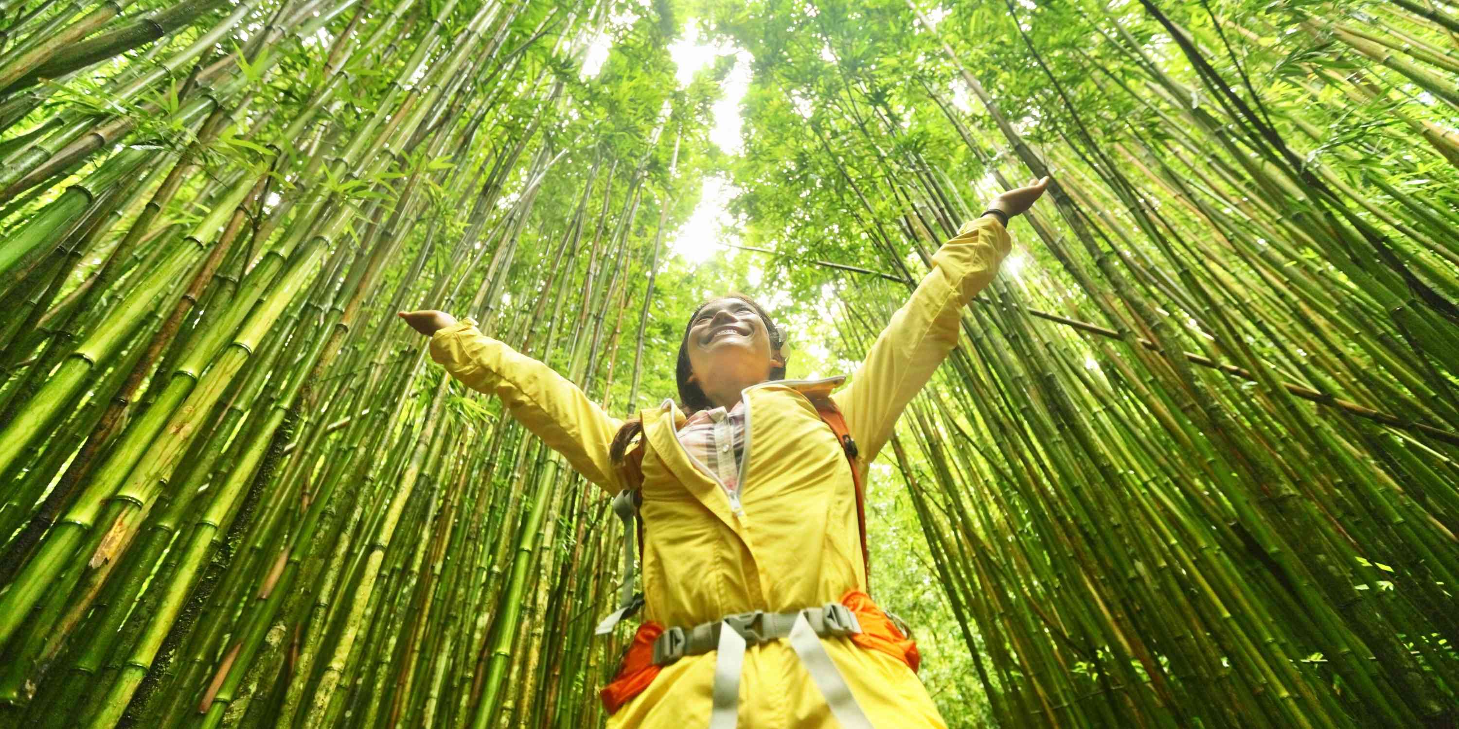 Woman raises her arms in a bamboo forest.