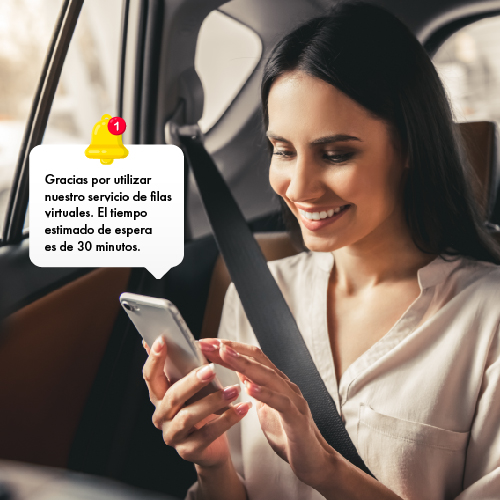 Cumple con los lineamientos mínimos para prevenir y mitigar la ocurrencia de fraudes y estafas cibernética