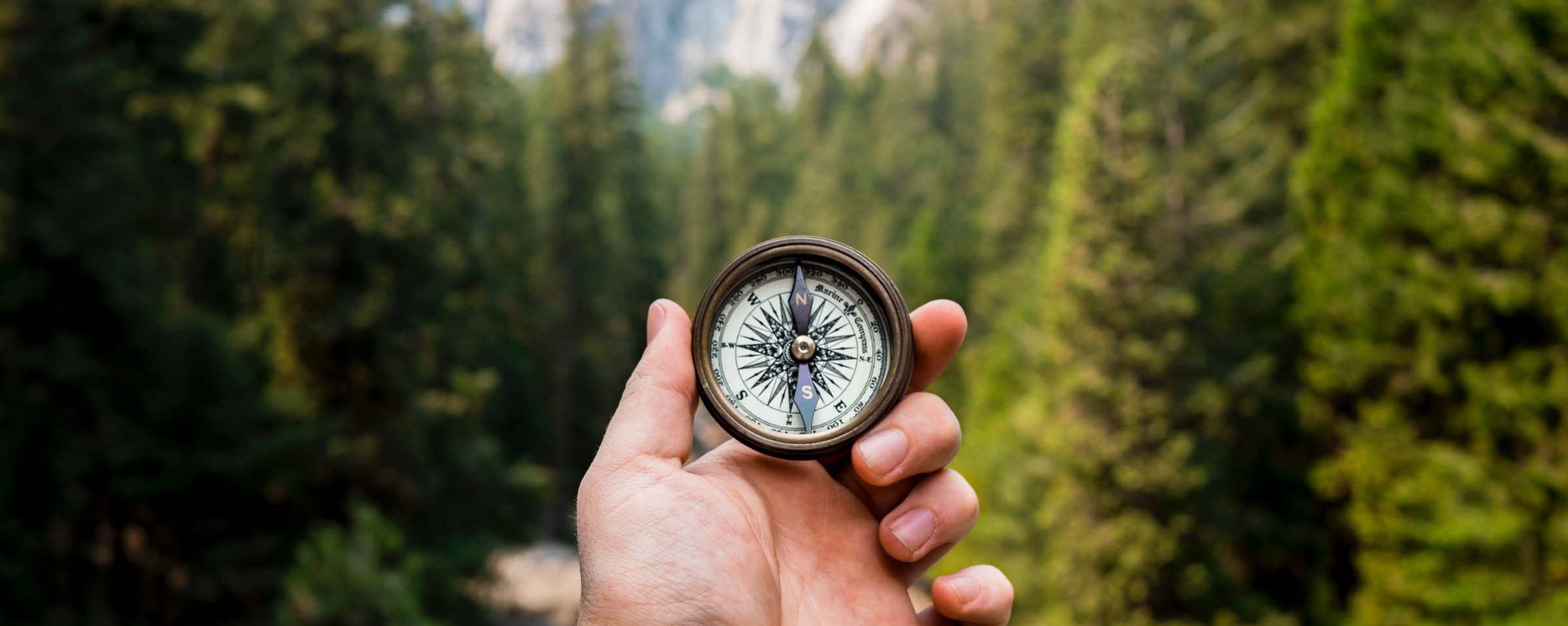 Male hand holding a compass with green mountain scene background